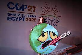 COP27 Focus