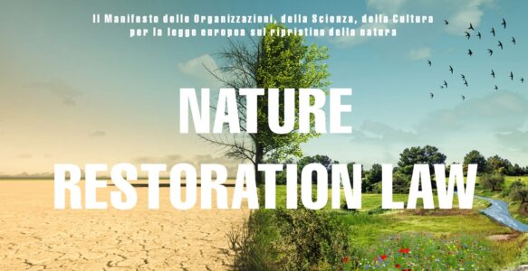 Approvato il Nature restoration law