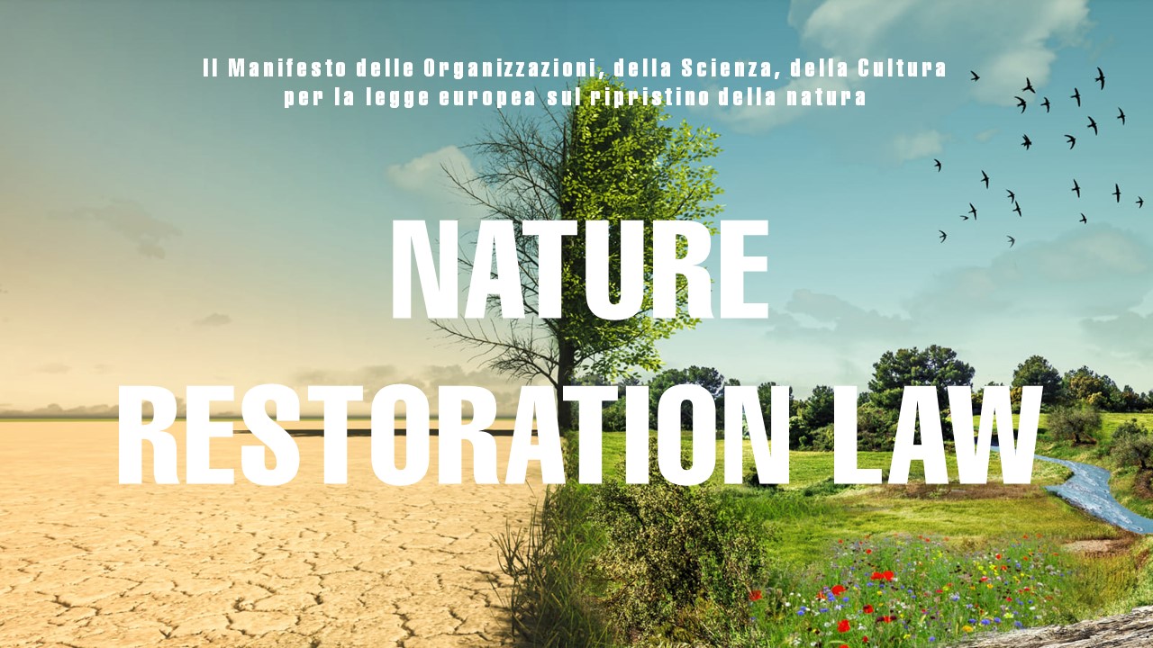 Approvato il Nature restoration law