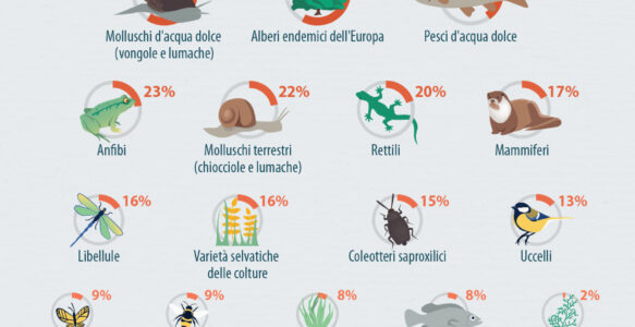 Obiettivo UE Biodiversità 2030