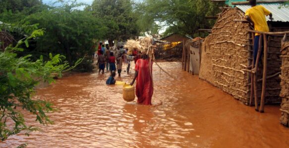 Cosa rimane della Cop 29